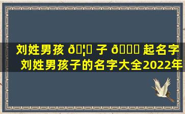 刘姓男孩 🦟 子 🐋 起名字（刘姓男孩子的名字大全2022年）